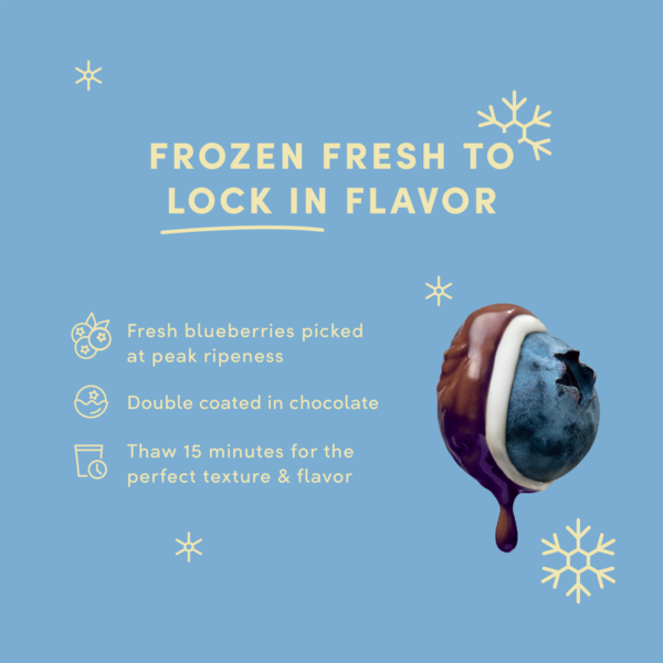 6-frozen-blueberrydark-8oz-rtb