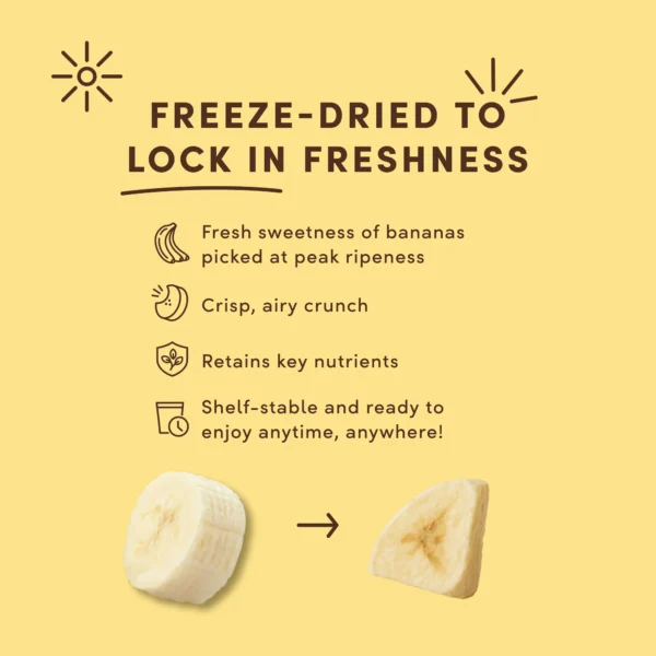 Dried_BananaDark_1.7oz_PDP4_FreezeDried_RTB