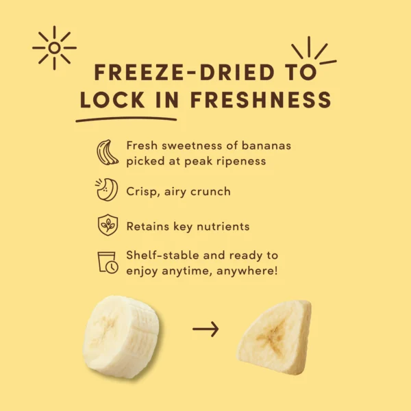 Dried_BananaDark_3.4oz_PDP4_FreezeDried_RTB