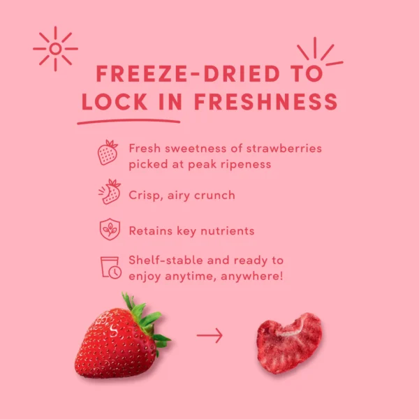 Dried_StrawberryDark_3.4oz_PDP_4_FreezeDried_RTB