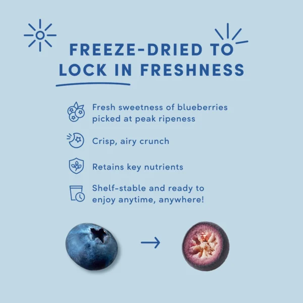 Dried_BlueberryCreme_3.4oz_PDP4_FreezeDried_RTB