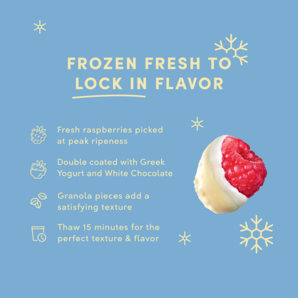 5-frozen-raspberrygreek-8oz-rtb