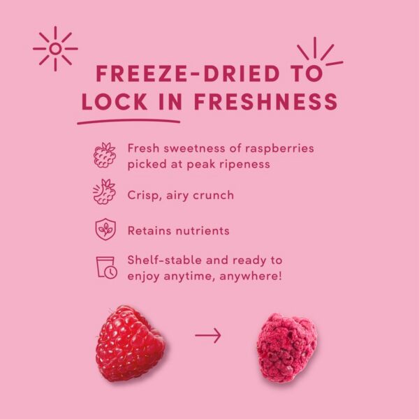 dried-raspberrydark-3-4oz-pdp-4-freezedried-rtb
