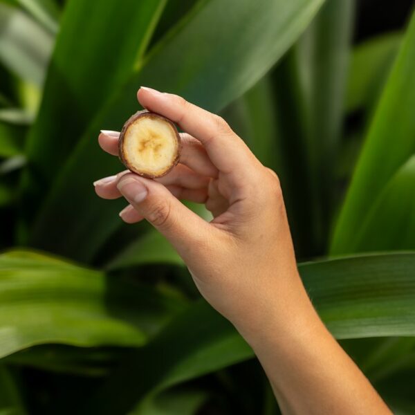 3-banana-pb-milk-18-oz