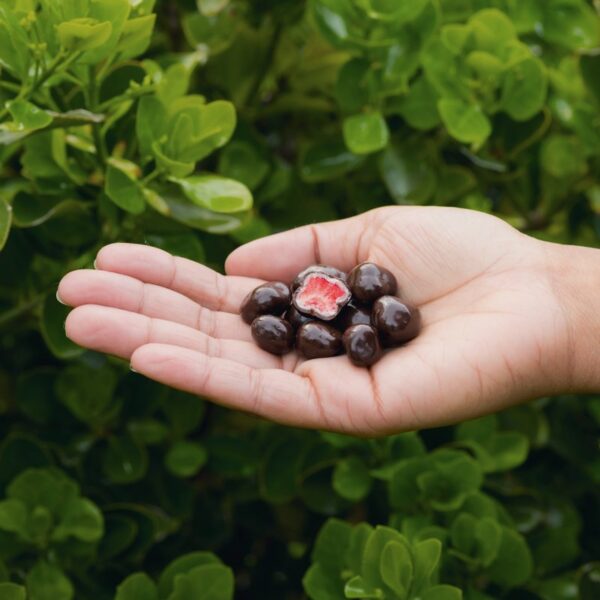 3-dried-strawberrydark-3-4oz-pdp-3-freshlypicked